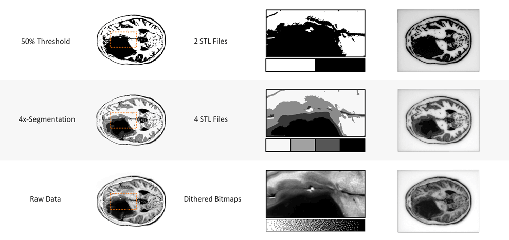 improved-diagnostics-presurgical-planning-high-resolution-functionally-graded-multi-material-3d-printing-biomedical-tomographic-datasets-2 improved-diagnostics-presurgical-planning-high-resolution-functionally-graded-multi-material-3d-printing-biomedical-tomographic-datasets-2
